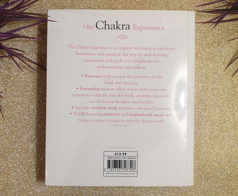 The Chakra Experience