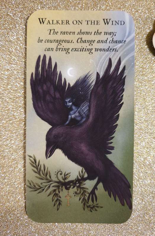 Forest Fae: Curious messages of enchantment (Rockpool Mini Cards)