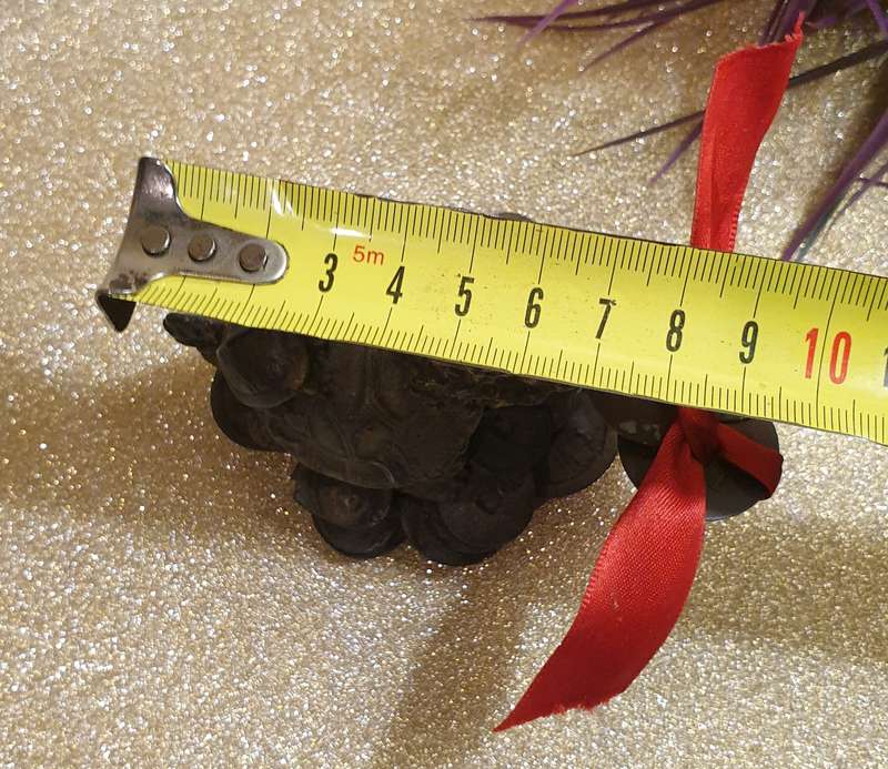 Dragon Tortoise On Coin | Made from resin |