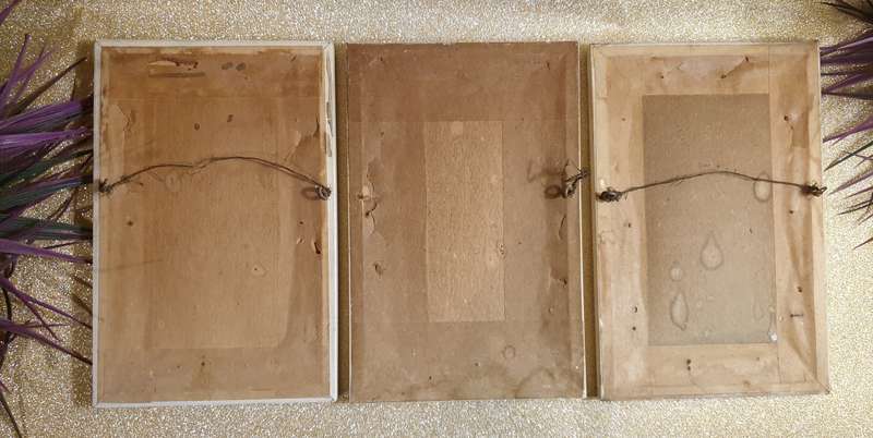 Vintage 3D Feather Pictures | SIGNED |
