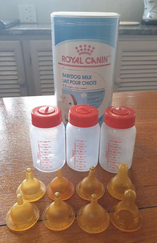 Royal Canin: puppy milk bottles  | 01|