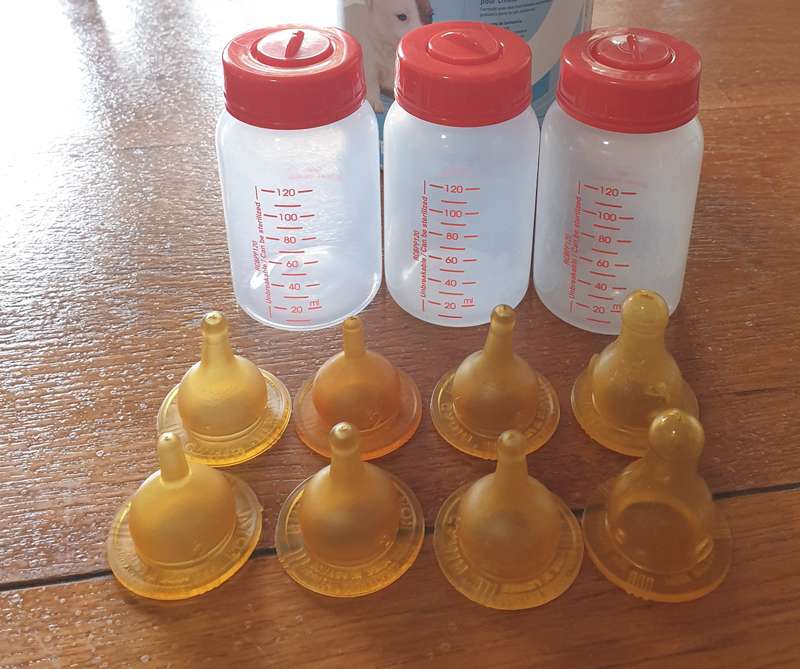 Royal Canin: puppy milk bottles  | 01|