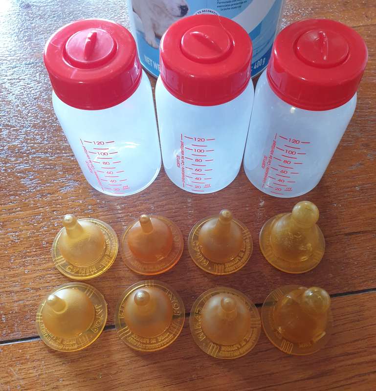 Royal Canin: puppy milk bottles  | 01|