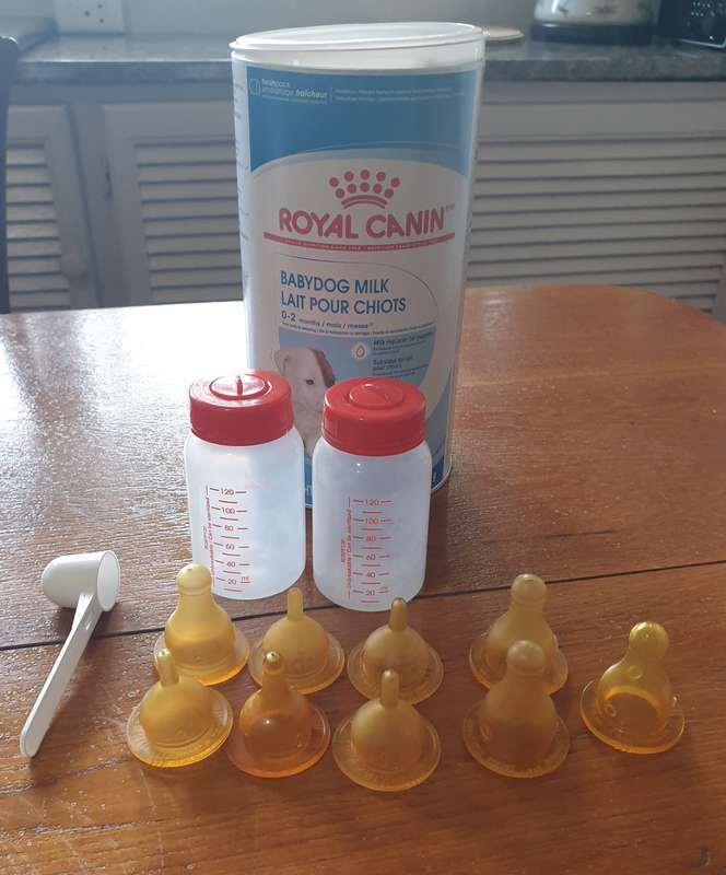 Royal Canin: puppy milk bottles  | 02|