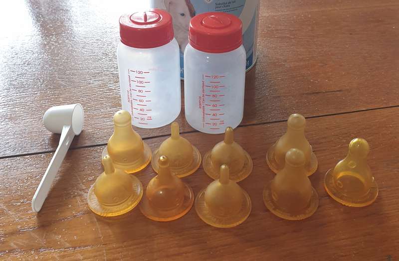Royal Canin: puppy milk bottles  | 02|