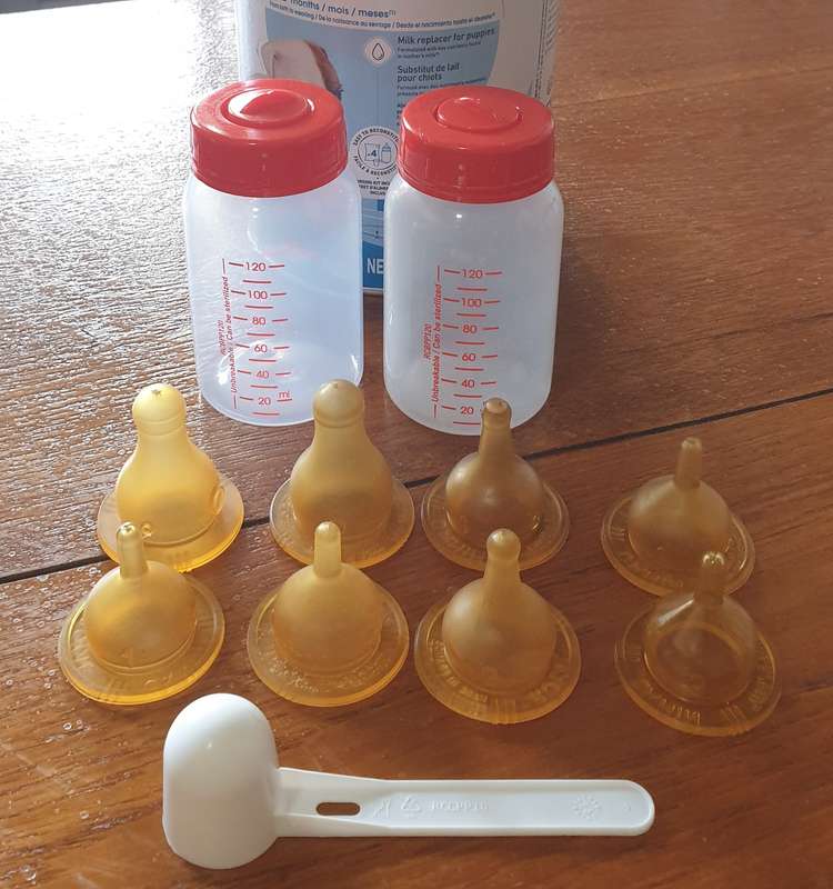 Royal Canin: puppy milk bottles  | 03|