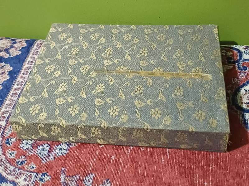 Chinese accordion book with  silk panels |