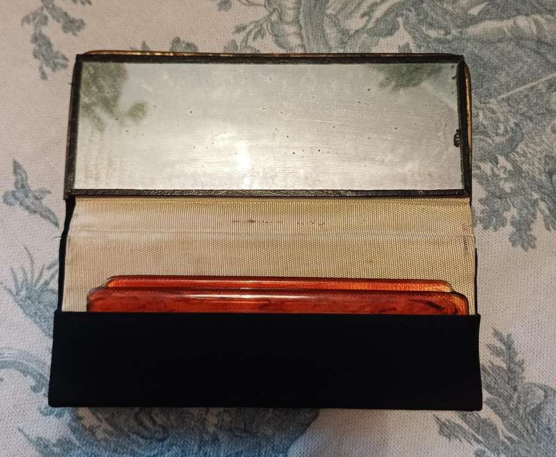 Vintage Floral Petit Point Case with Comb