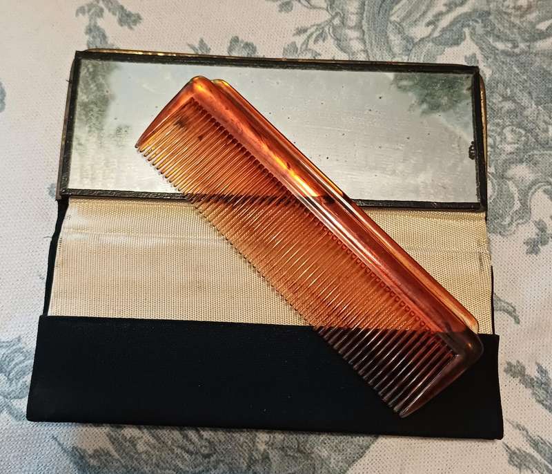 Vintage Floral Petit Point Case with Comb