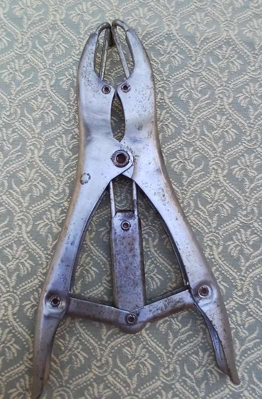 Farm Animal Livestock Elastrator Castration Bander Pliers  Preloved (22 x 11 cm)