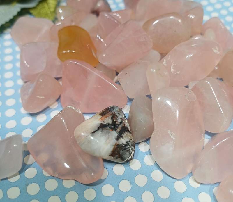 CRYSTAL COLLECTION FOR YOUR HOME | 24 |