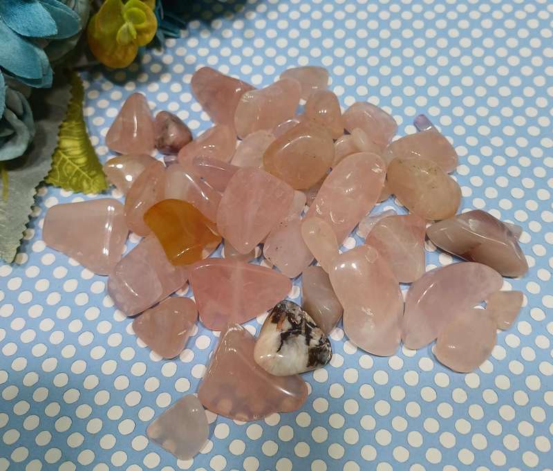 CRYSTAL COLLECTION FOR YOUR HOME | 24 |