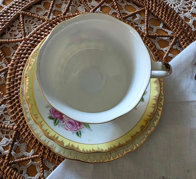 Vintage Porcelain Tea Trio Set | Elegant Rose Pattern | 04 |