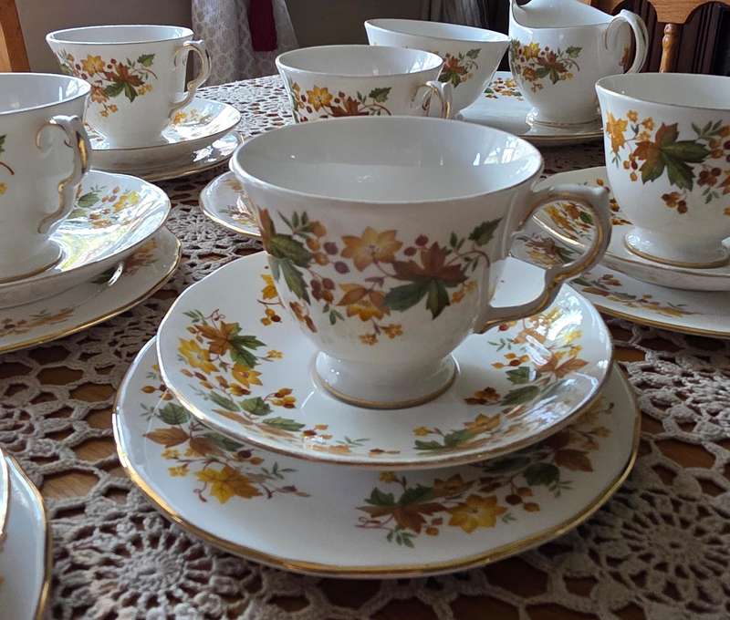 Queen Anne Bone China Tea Set | Autumn Leaves G671 Pattern |