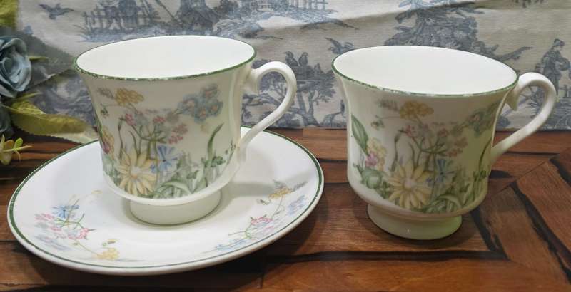 Royal Albert Bone China  Spring Dawn / New Romance