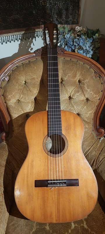 WOW !!!    1967 HOFNER model 487 guitar ?