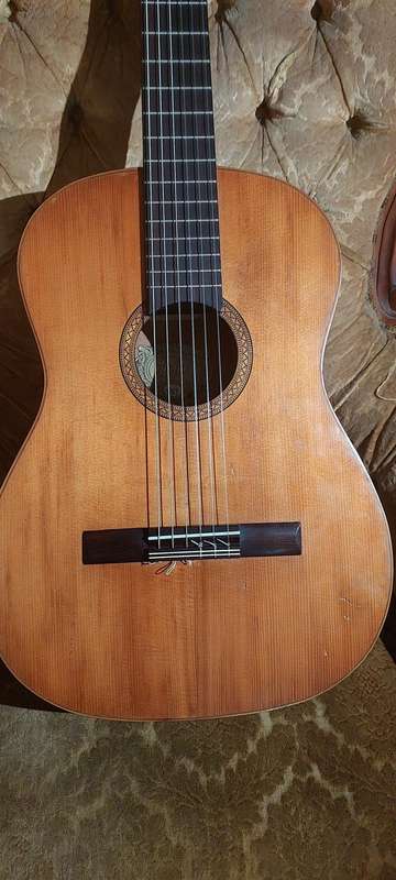 WOW !!!    1967 HOFNER model 487 guitar ?