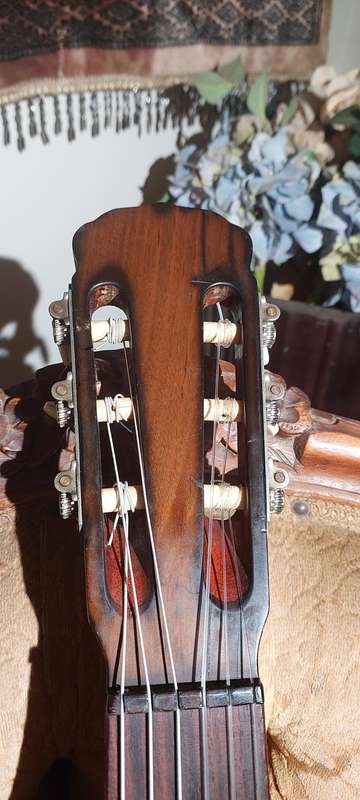 WOW !!!    1967 HOFNER model 487 guitar ?