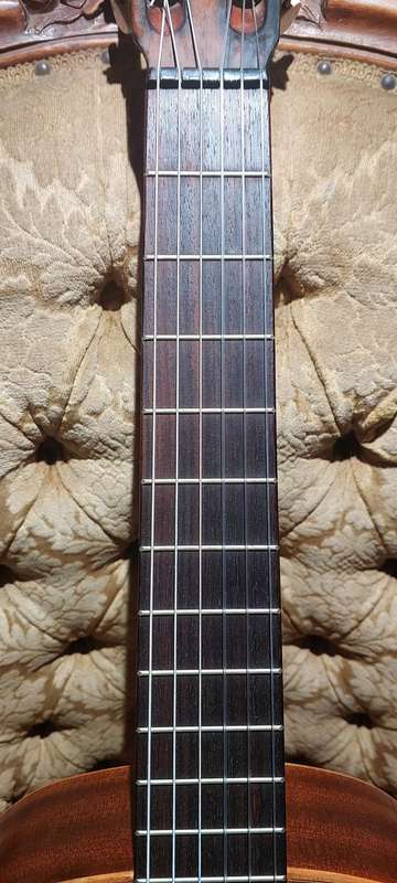 WOW !!!    1967 HOFNER model 487 guitar ?