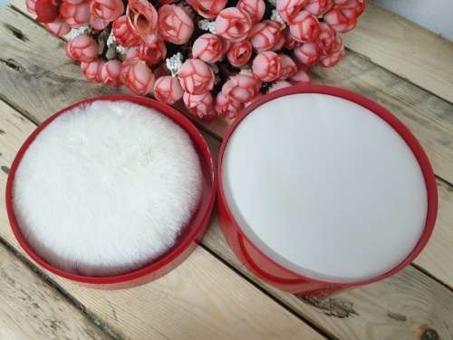 Revlon Powder