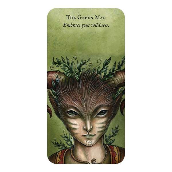 Forest Fae: Curious messages of enchantment (Rockpool Mini Cards)