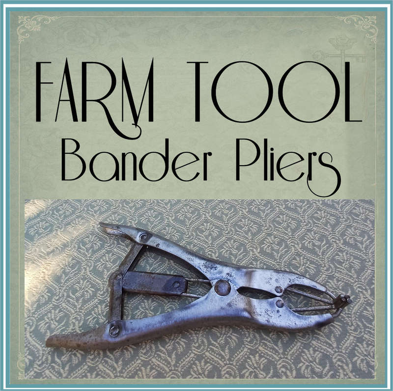 Farm Animal Livestock Elastrator Castration Bander Pliers  Preloved (22 x 11 cm)