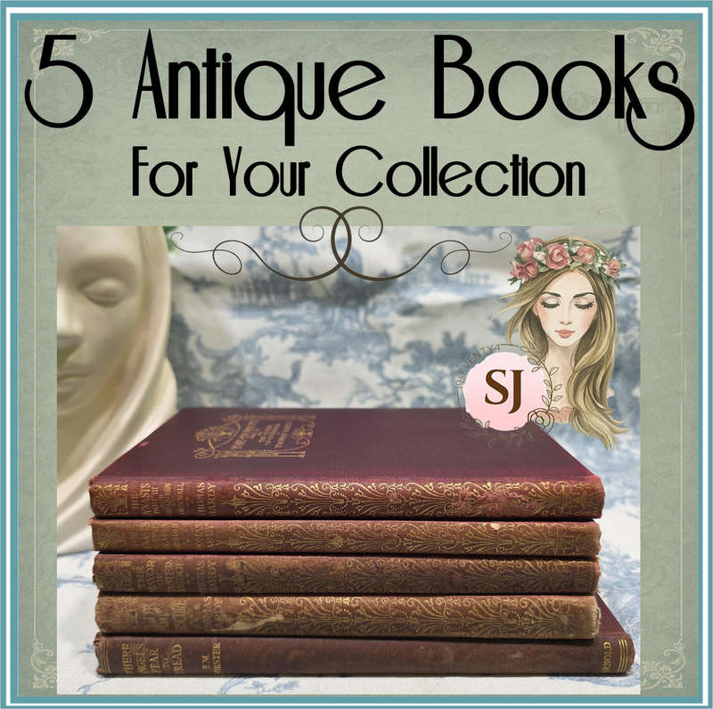 Aged in Leather & Time | Antique Pocket Editions | 1920s