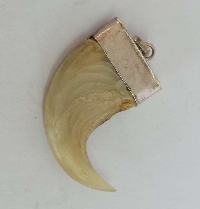 Amazing vintage sterling silver lions claw pendant 2.4g