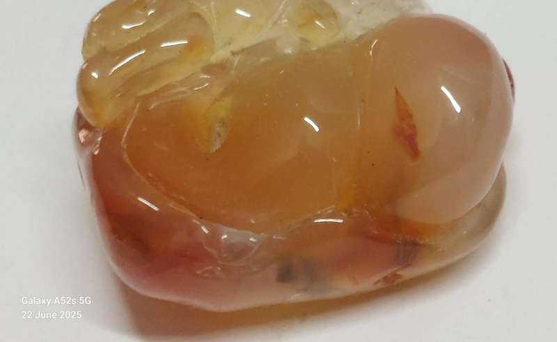 Amazing 19th century Chinese agate carving of mythical creature on a flower circa 1880's Value R6500