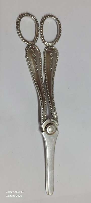 Very Rare!! 1888 Exeter silver grape scissors 86.7g Value R5500 WOW!!