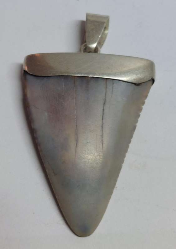 Wow!! Large Vintage sterling silver fossilized shark tooth pendant 12.2g