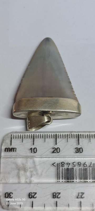 Wow!! Large Vintage sterling silver fossilized shark tooth pendant 12.2g