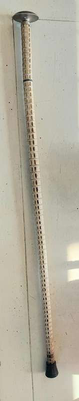 Rare Antique German 800 Silver Topped Vertebrae Walking Stick