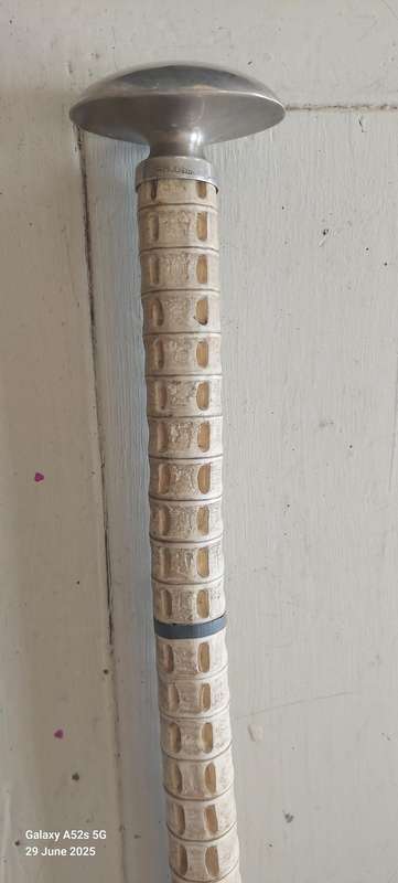Rare Antique German 800 Silver Topped Vertebrae Walking Stick