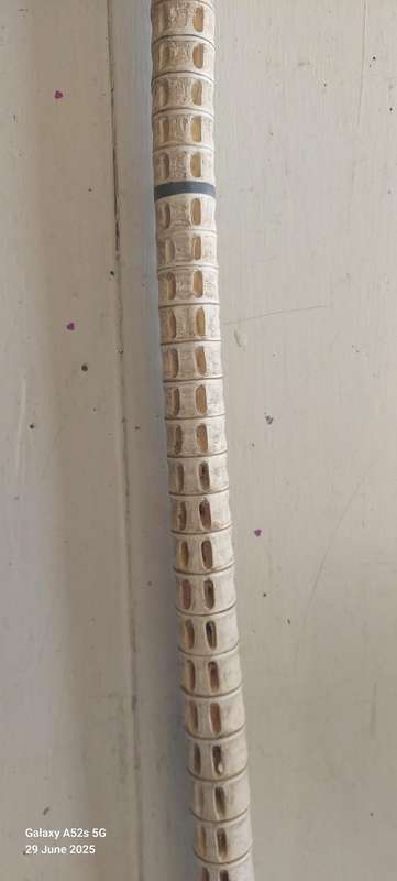 Rare Antique German 800 Silver Topped Vertebrae Walking Stick