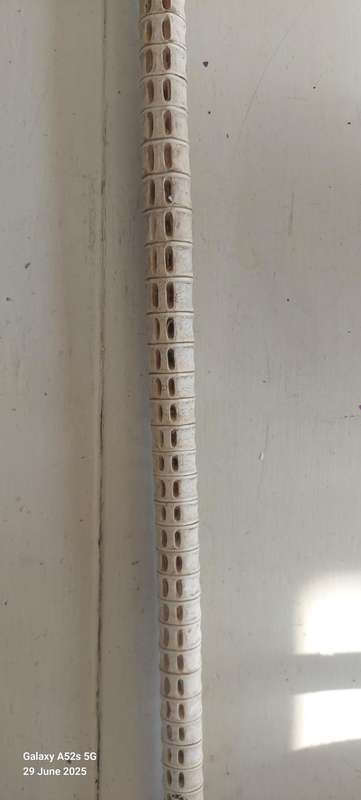 Rare Antique German 800 Silver Topped Vertebrae Walking Stick