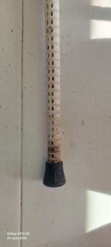 Rare Antique German 800 Silver Topped Vertebrae Walking Stick