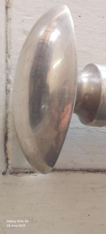 Rare Antique German 800 Silver Topped Vertebrae Walking Stick