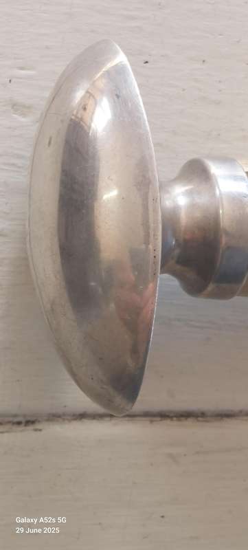 Rare Antique German 800 Silver Topped Vertebrae Walking Stick