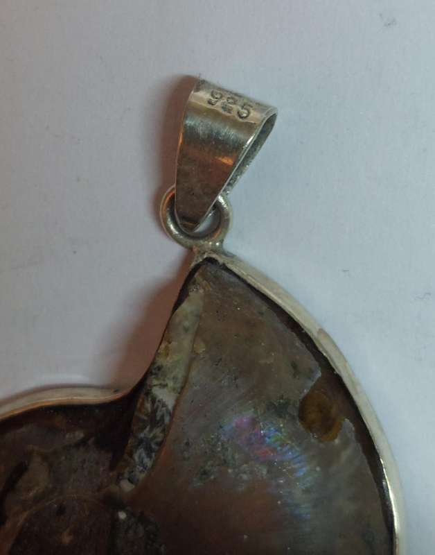 Increadible vintage sterling silver Ammonite pendant 12.6g