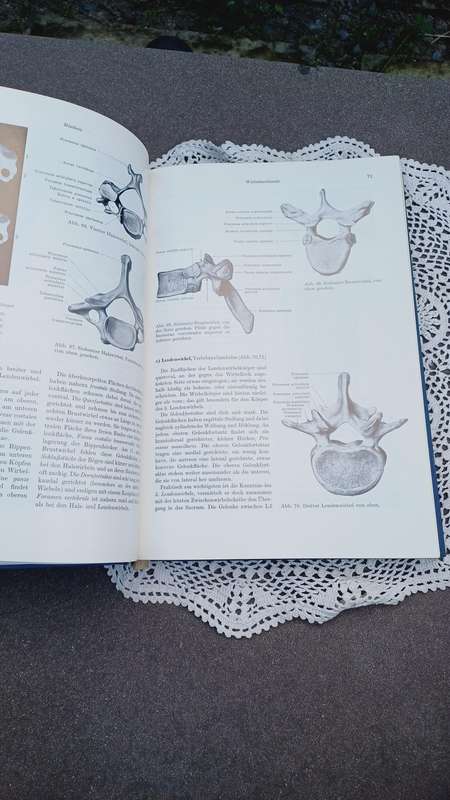 1968 Lehrbuch und Atlas der Anatomie des Menschen. Rauber Kopsch. Ex University of Pretoria Library.