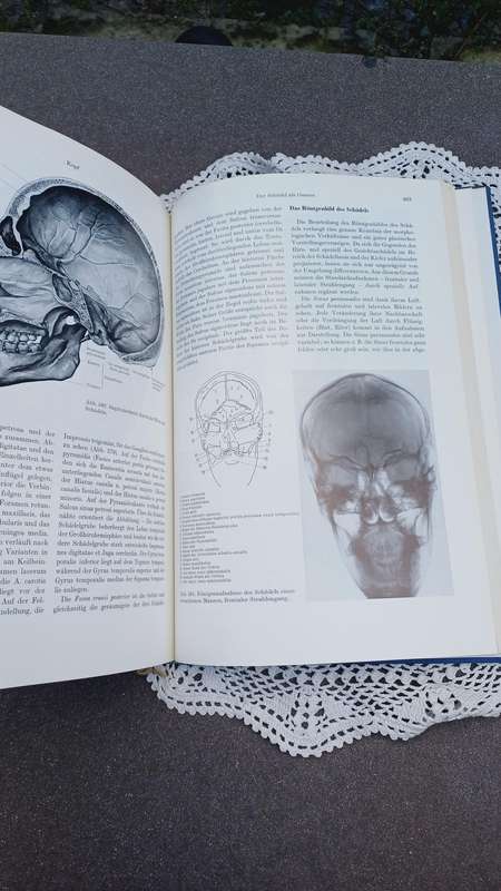 1968 Lehrbuch und Atlas der Anatomie des Menschen. Rauber Kopsch. Ex University of Pretoria Library.