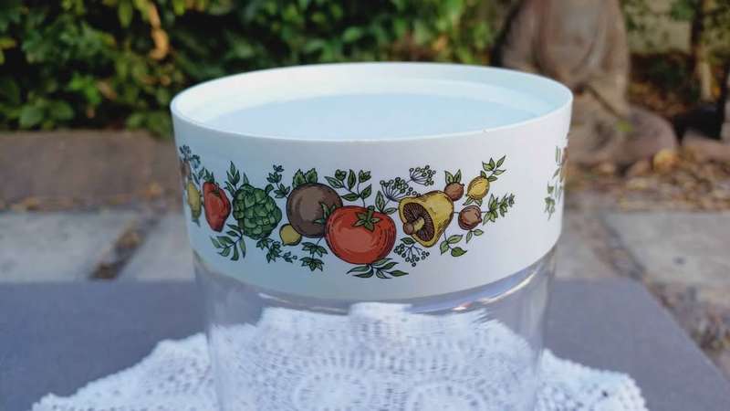 1970s Vintage Pyrex Glass storage Container & Lid. Spice Of Life