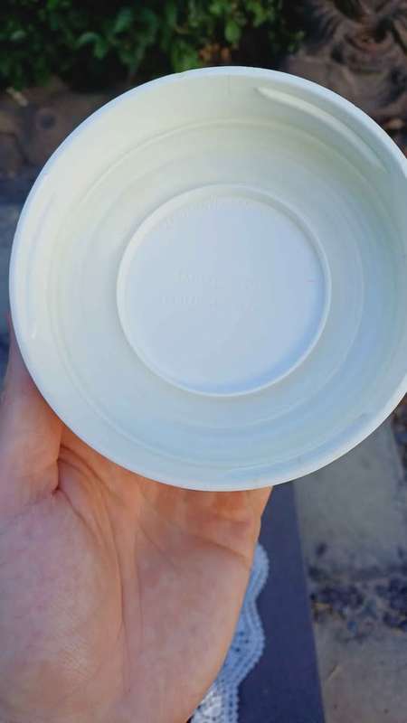 1970s Vintage Pyrex Glass storage Container & Lid. Spice Of Life