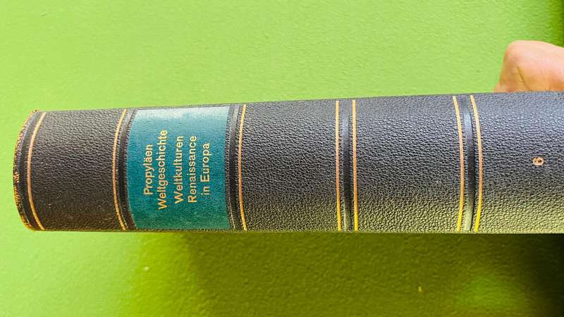 Propylaen Weltgeschichte Weltkulturen Renaissance in Europa volume 6 - German book