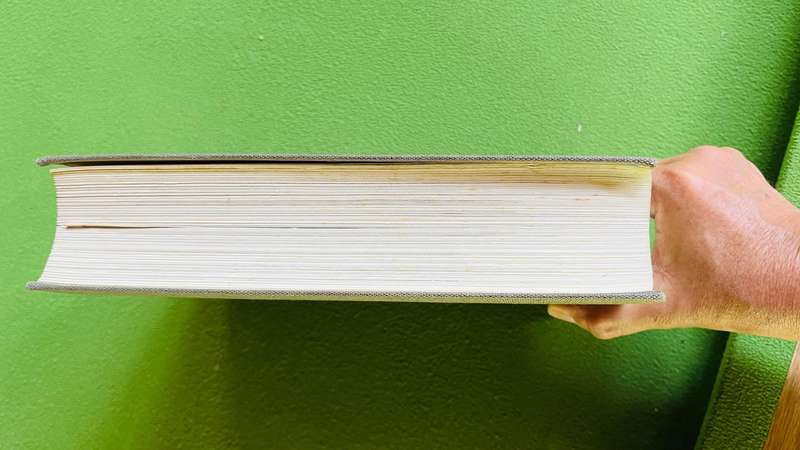 Propylaen Weltgeschichte Weltkulturen Renaissance in Europa volume 6 - German book