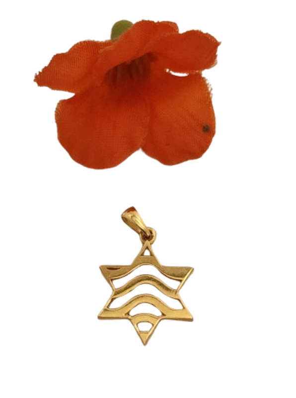 9ct Yellow Gold Cut-out Star of David Pendant Charm