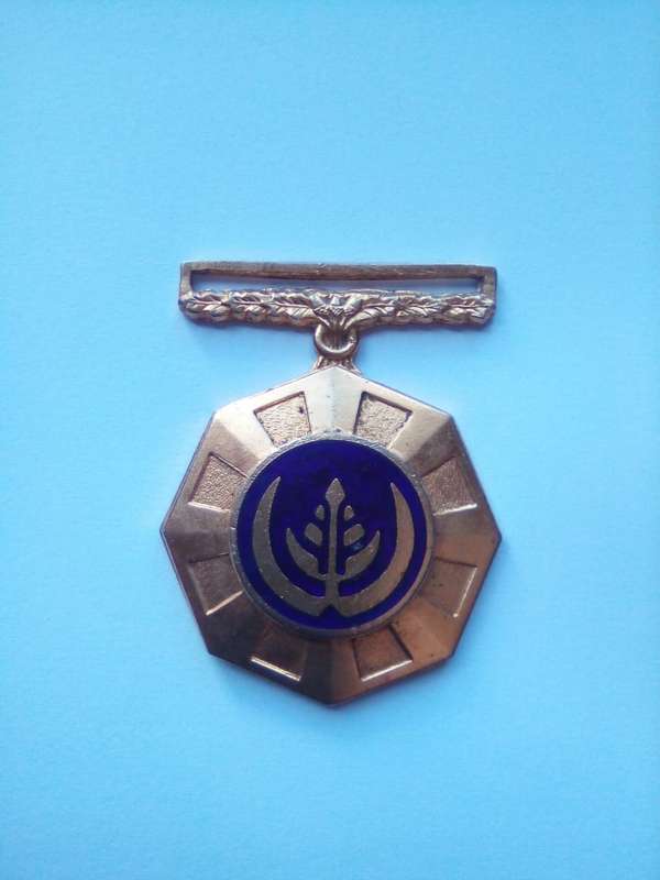 SADF Pro Patria Medal