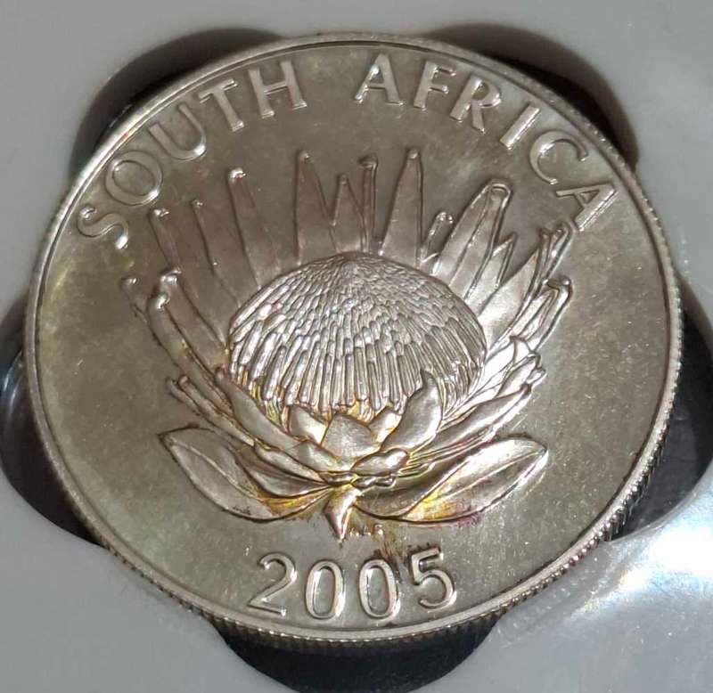 2005 R1 Silver Luthuli