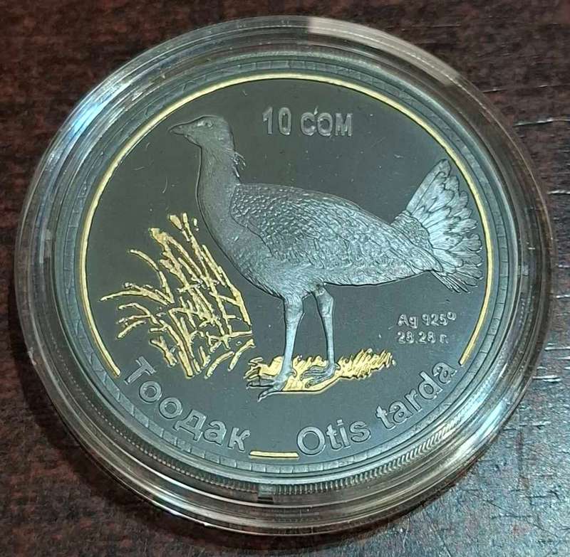 2015 10 Som coin from Kyrgyzstan The coin is made of silver with a gold ring
